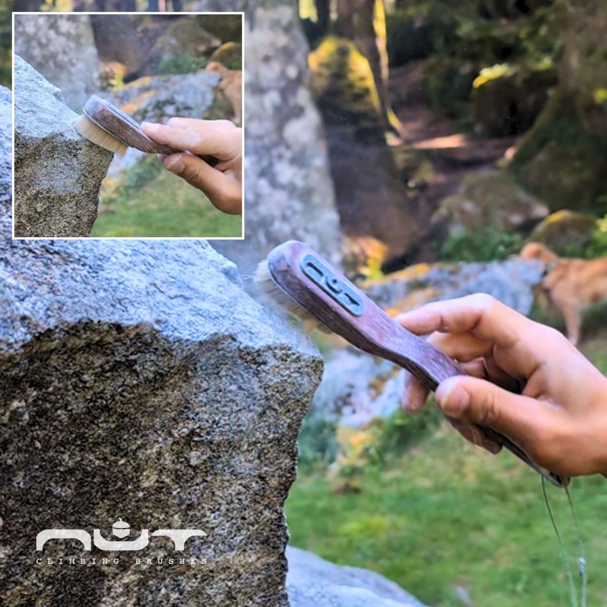 Varazze – Nut Brushes – Spazzole da arrampicata – Climbing Brushes – Uso 1